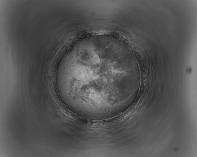 X0000100471393200806201556