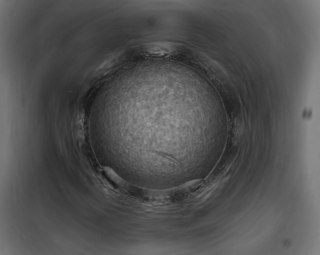 X0000100471394200806201556