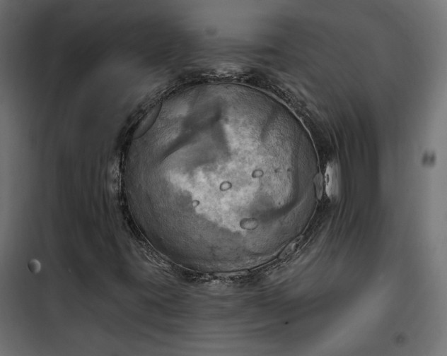 X0000100471395200806201556