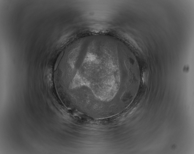 X0000100471396200806201556