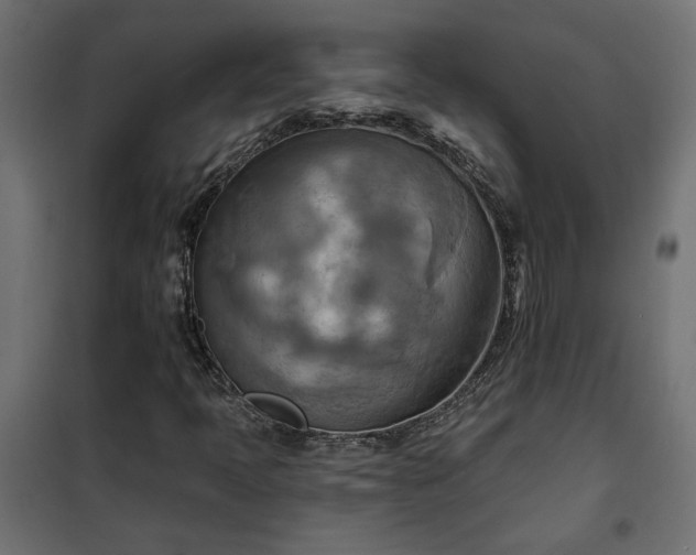 X0000100471397200806201556