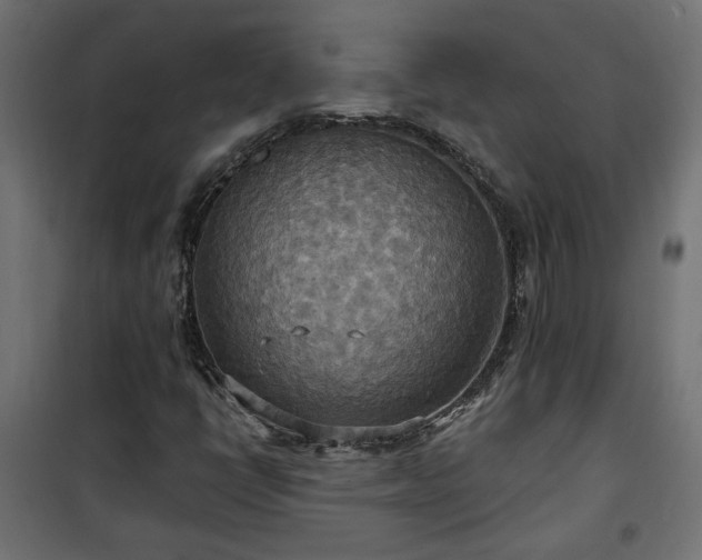 X0000100471398200806201556