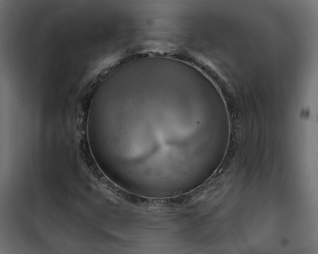 X0000100471399200806201556