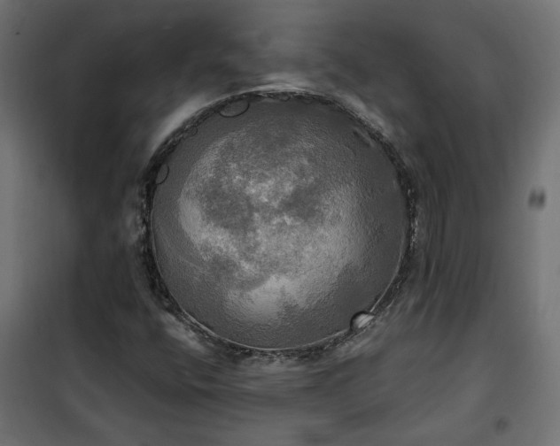 X0000100471400200806201556