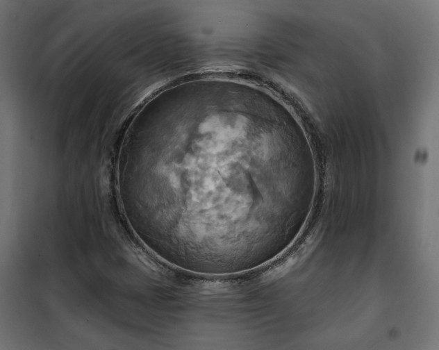 X0000100471401200806201556