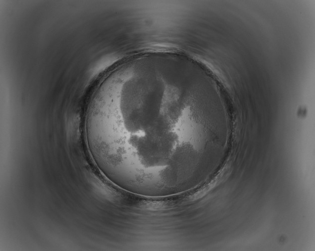 X0000100471402200806201556