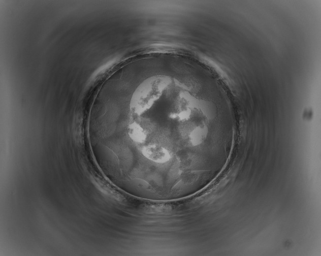 X0000100471403200806201556