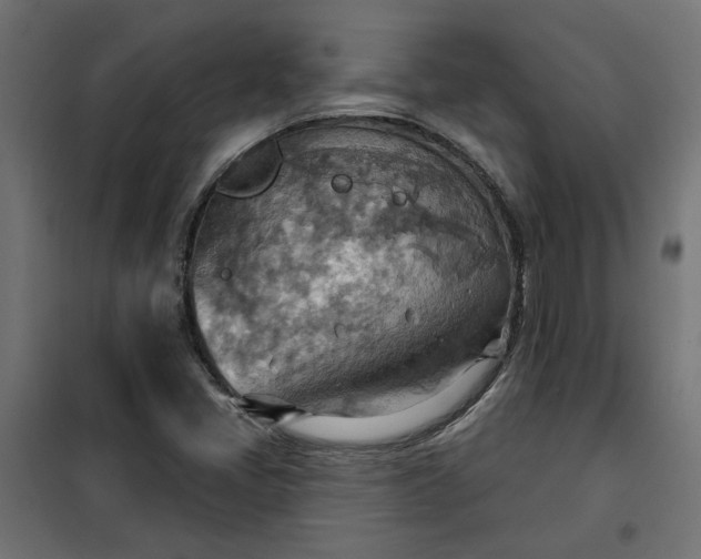 X0000100471405200806201556