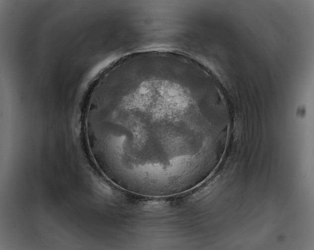 X0000100471406200806201556