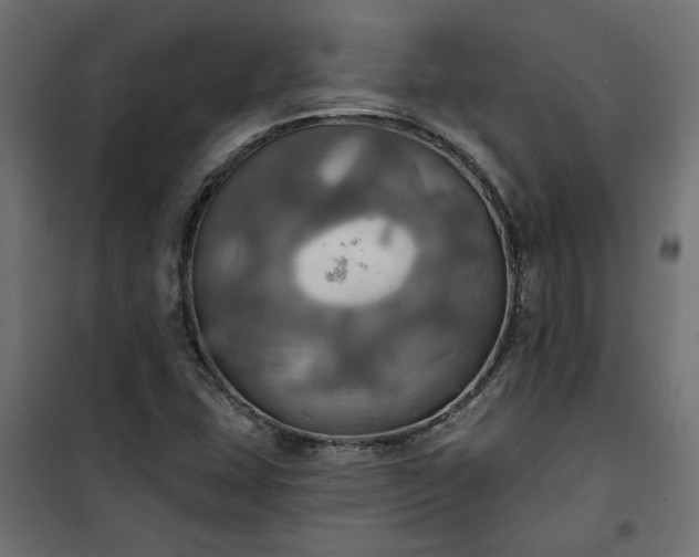 X0000100471407200806201556