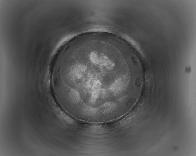 X0000100471408200806201556