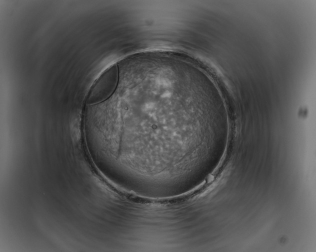 X0000100471409200806201556