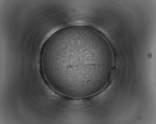 X0000100471410200806201556