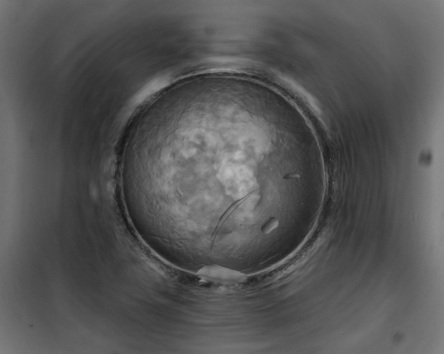 X0000100471411200806201556