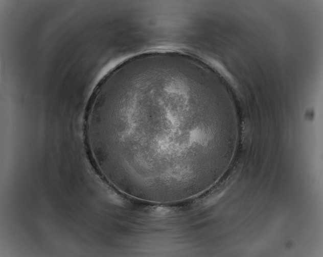 X0000100471412200806201556