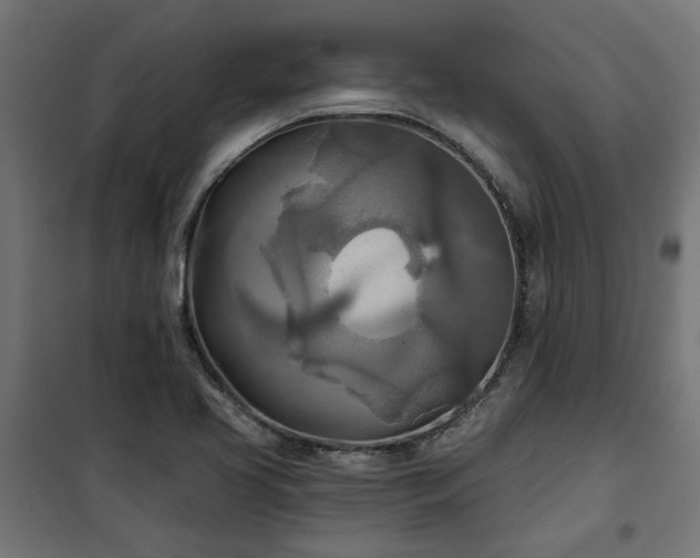 X0000100471413200806201556