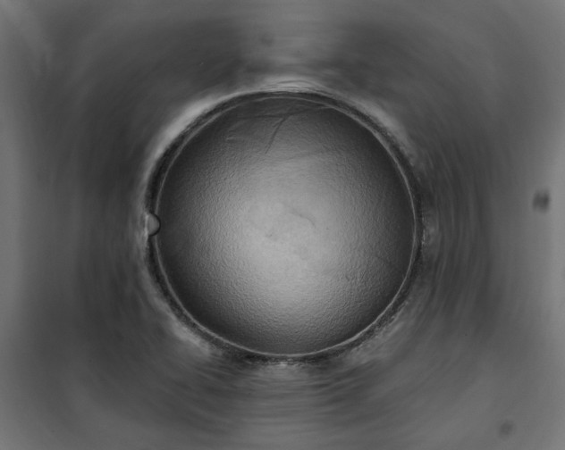 X0000100471414200806201556