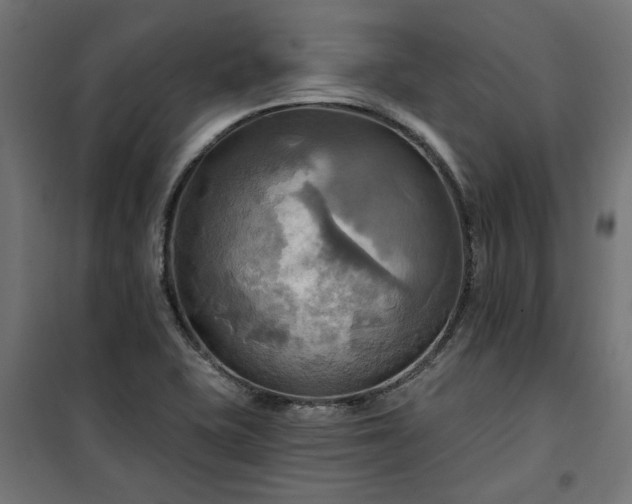 X0000100471415200806201556