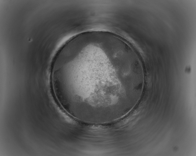 X0000100471416200806201556