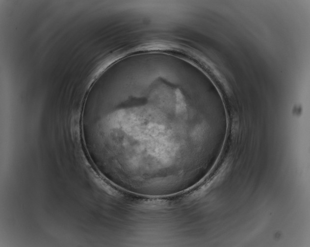 X0000100471417200806201556