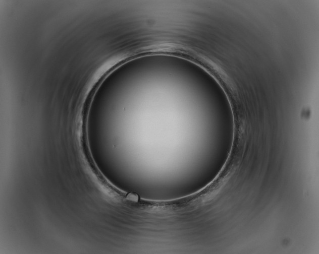 X0000100471418200806201556