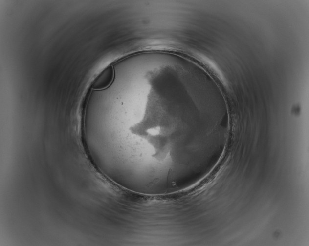 X0000100471419200806201556