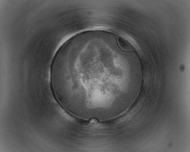 X0000100471420200806201556