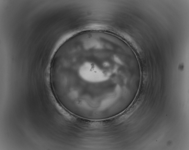 X0000100471421200806201556