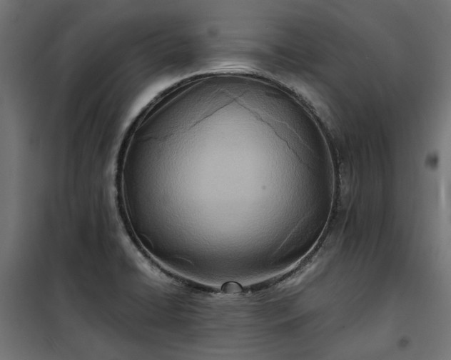 X0000100471422200806201556