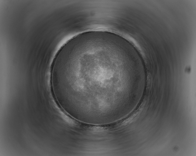 X0000100471424200806201556