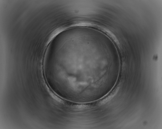 X0000100471425200806201556