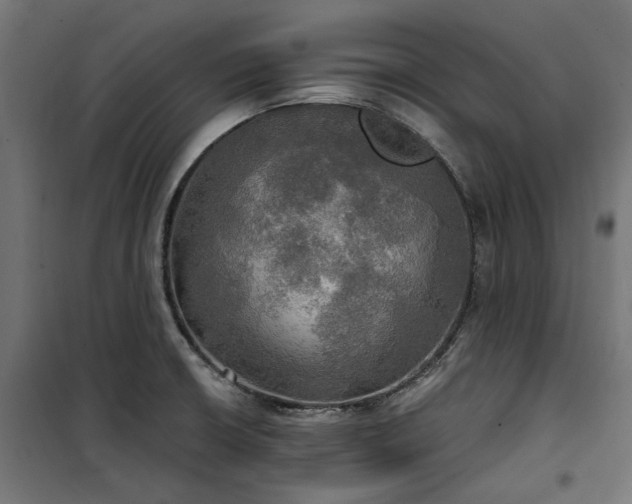 X0000100471426200806201556