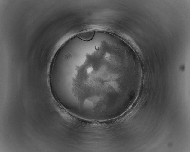 X0000100471427200806201556