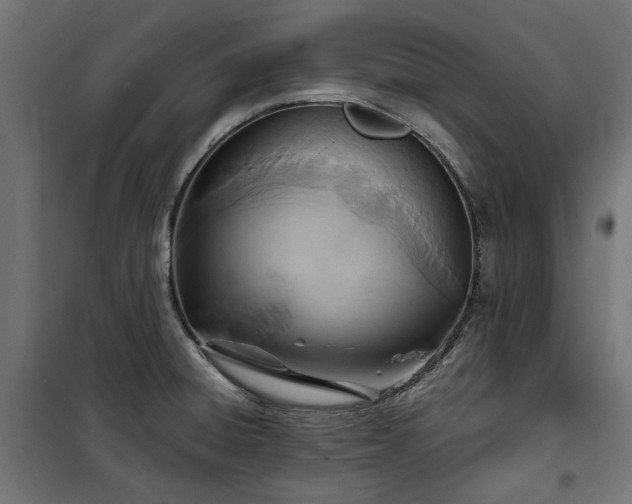 X0000100471428200806201556