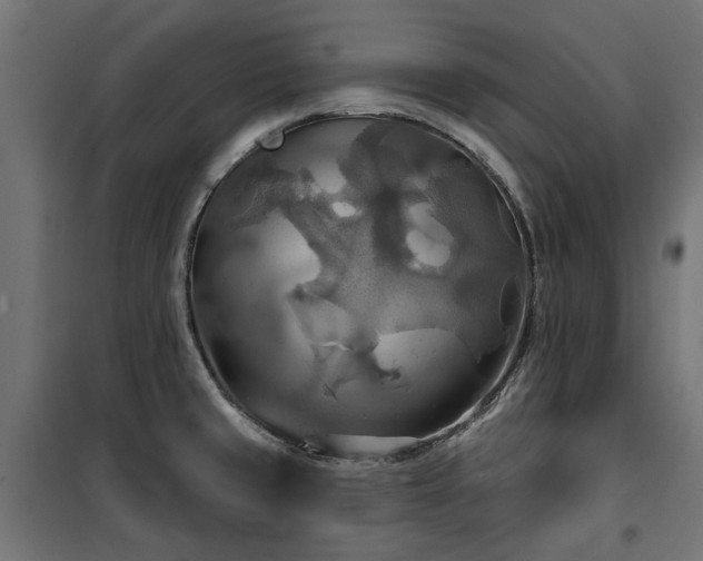 X0000100471429200806201556