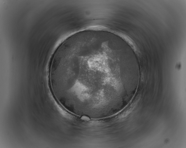 X0000100471430200806201556