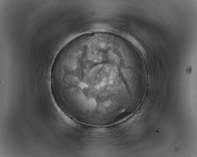 X0000100471431200806201556