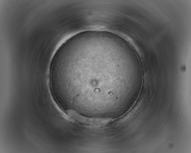 X0000100471432200806201556