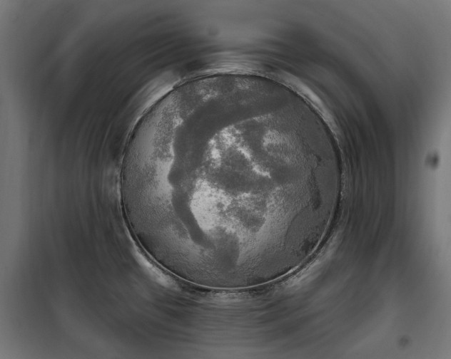 X0000100471433200806201556