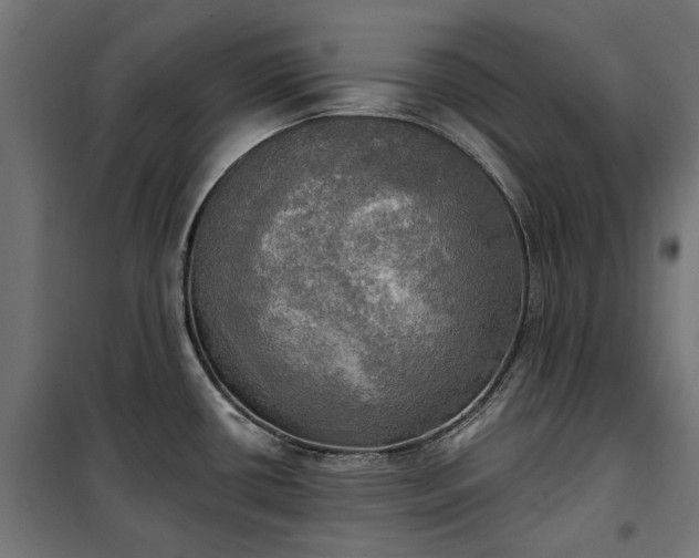 X0000100471434200806201556