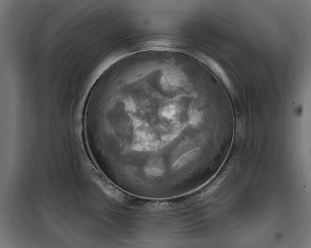 X0000100471435200806201556