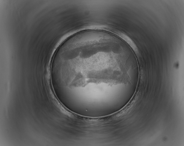 X0000100471436200806201556