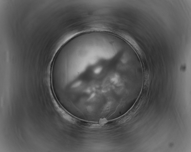 X0000100471439200806201556