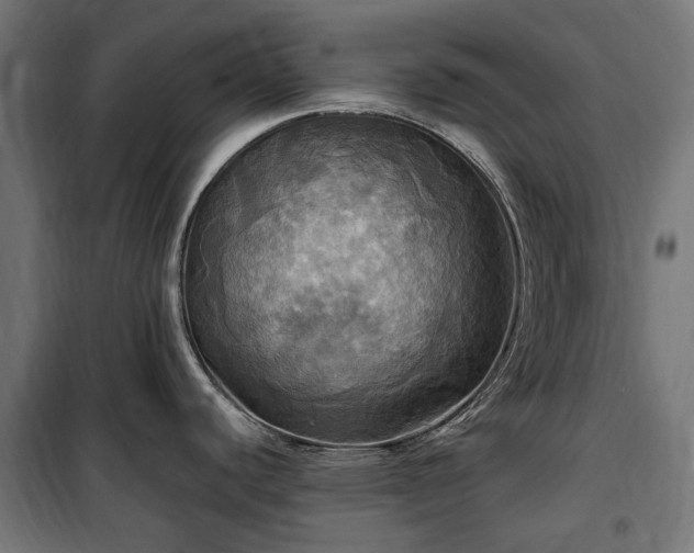 X0000100471440200806201556