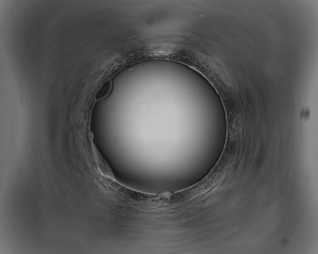 X0000100471441200806201555