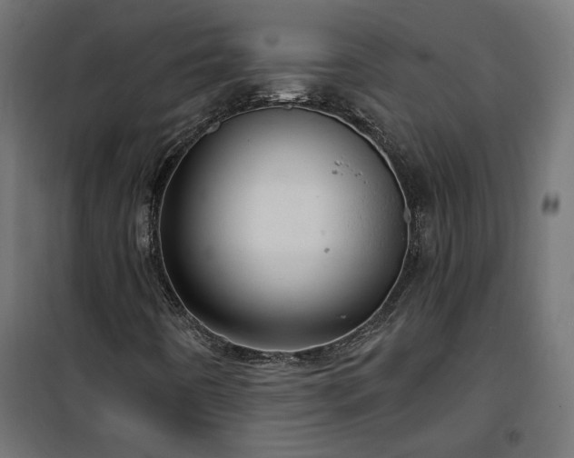 X0000100471442200806201555