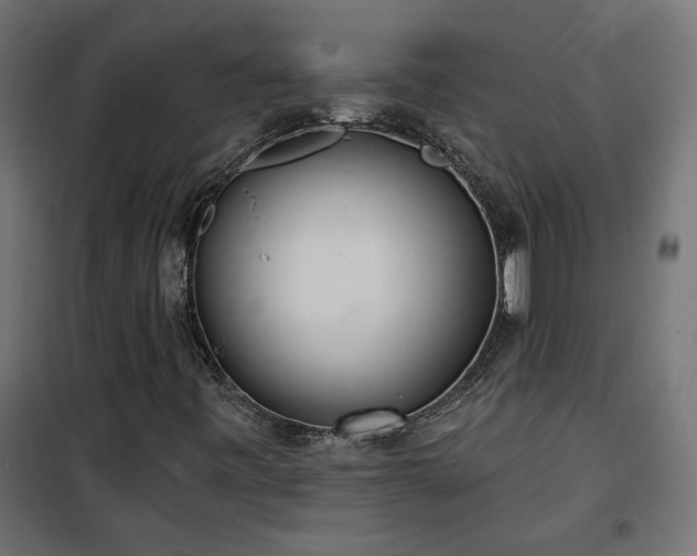 X0000100471443200806201555