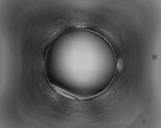 X0000100471444200806201555