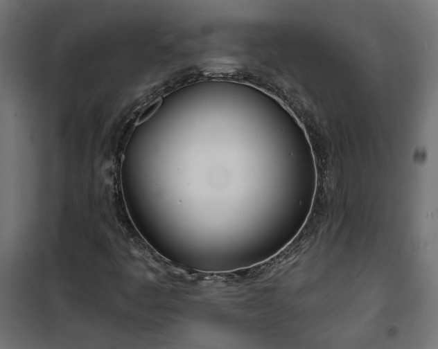 X0000100471445200806201555