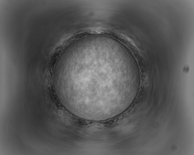 X0000100471446200806201555